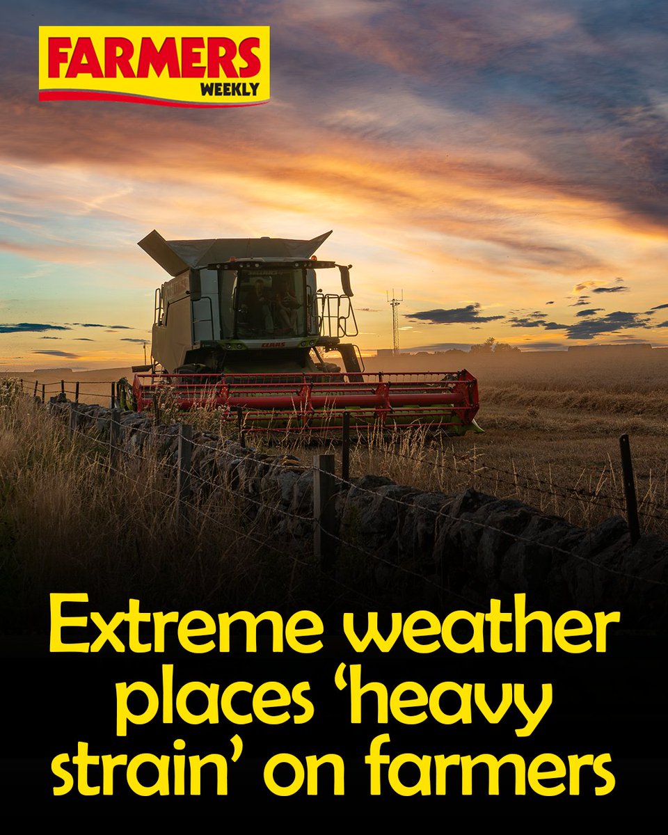 ⛈️ Practically all British farmers (98%) faced extreme weather events in the past five years, with extreme rainfall (86%), drought (78%) and heatwaves (54%) the most common experiences.

READ MORE: ow.ly/T9Ct50WO1zi