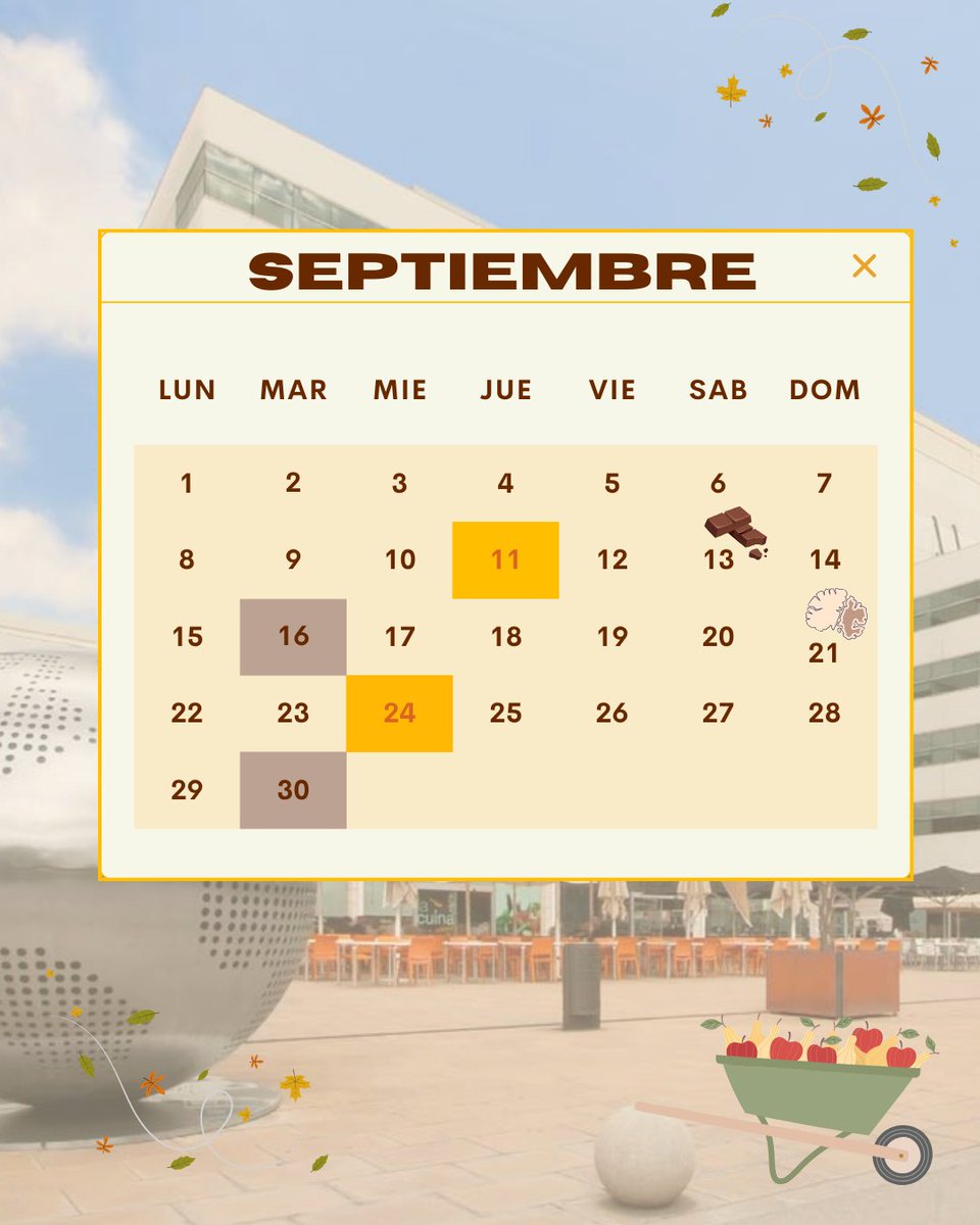 wtcalmedap's tweet photo. En septiembre, volvemos con energía con  desayunos gratuitos, actividades de wellbeing y planes para que la vuelta al trabajo sea más fácil y divertida:

16/09 🏓 Bádminton &amp; Ping Pong
30/09 🧘‍♀️ Yoga en @tugymwtcap

#WTCAlmedaPark https://t.co/XzQJARG8eq