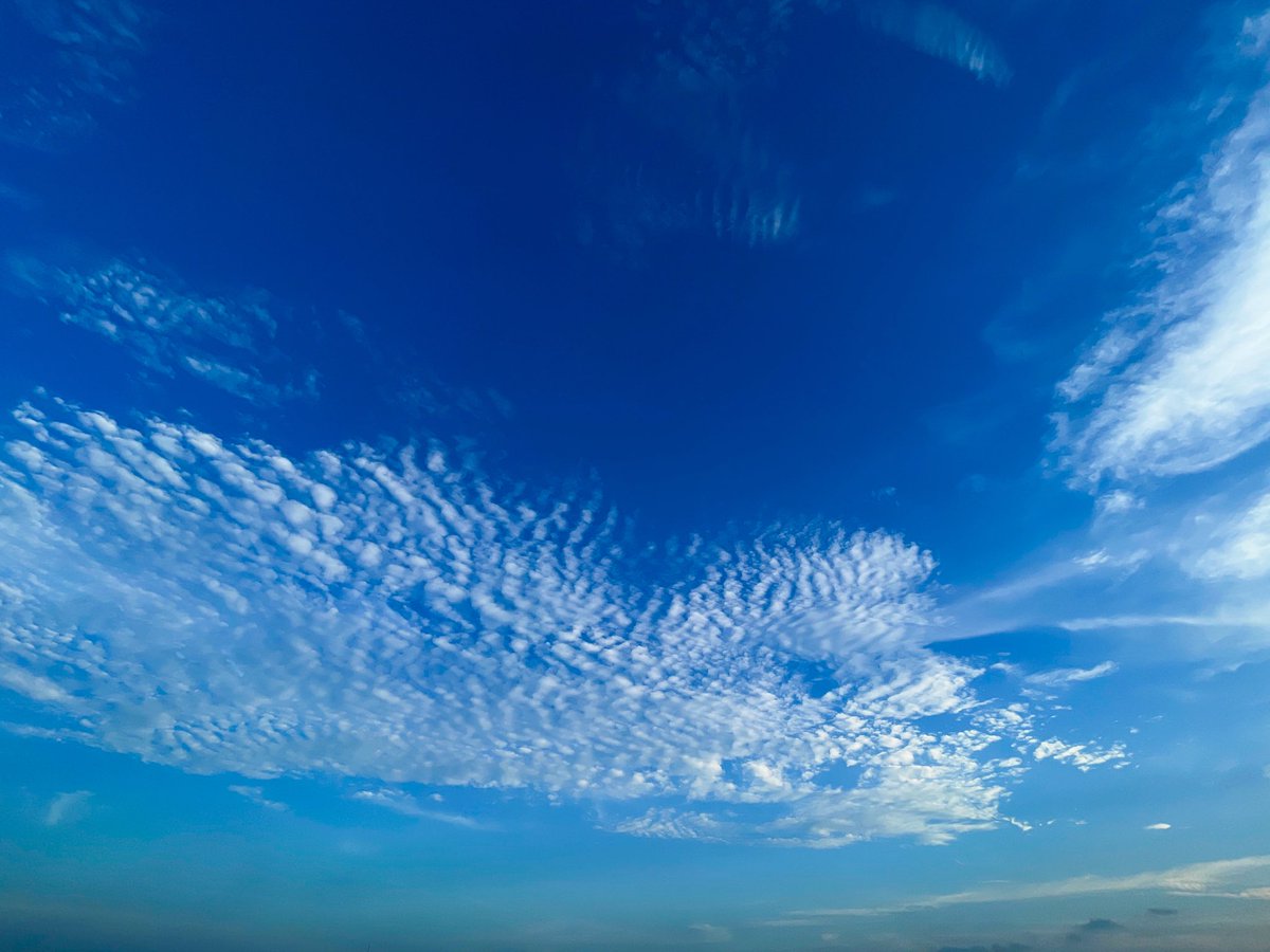 8月が終わる
#巻積雲