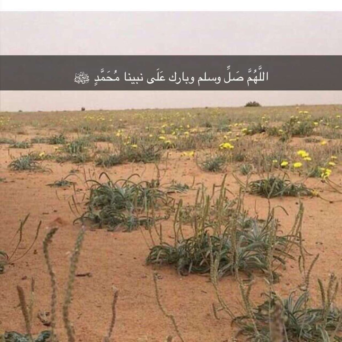 رجم بذال (@aafgy3) on Twitter photo 