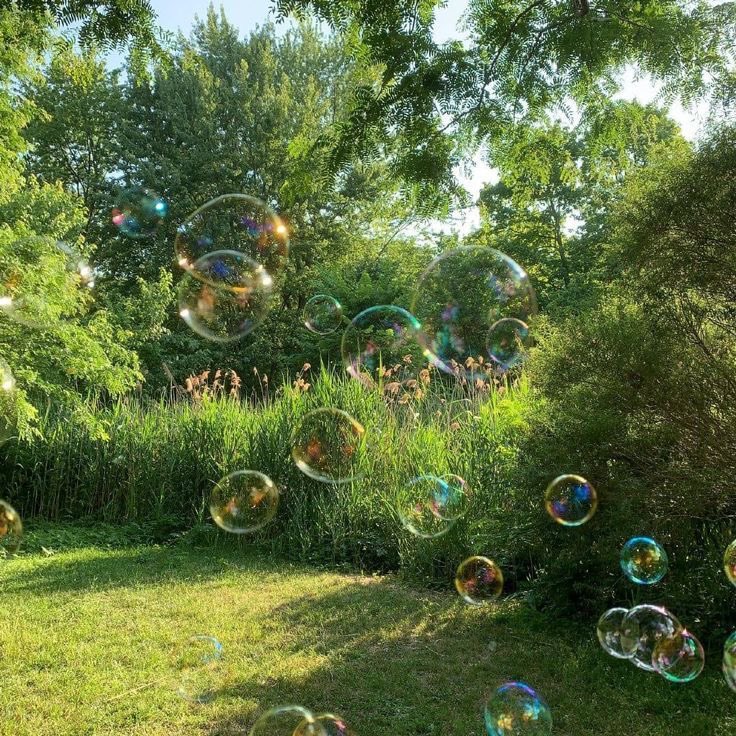 greendreamvibes's tweet image. 