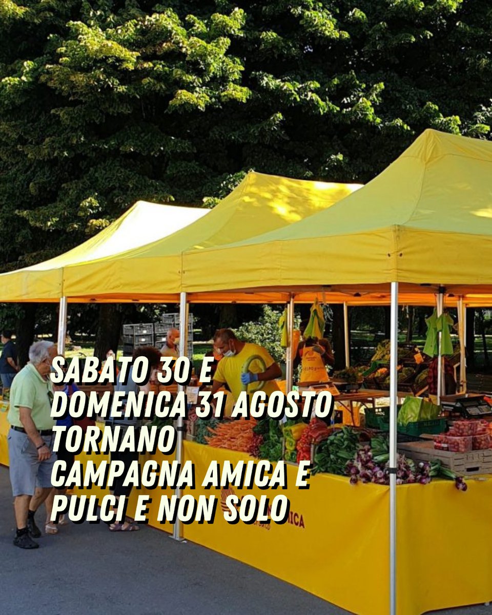 🛒 | MERCATI

Questo weekend tornano:

👉 <a href="/campagnamica/">Campagna Amica</a>, domani ore 8.30-13, piazza del Municipio;
👉 #Pulcienonsolo, domenica ore 6-14, parcheggio 5° Palazzo Uffici.

⬇️ Info: 
comune.sandonatomilanese.mi.it/novita/avvisi/…