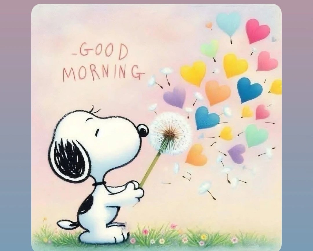 Happy Friday y'all! The weekend is here , good morning 😃