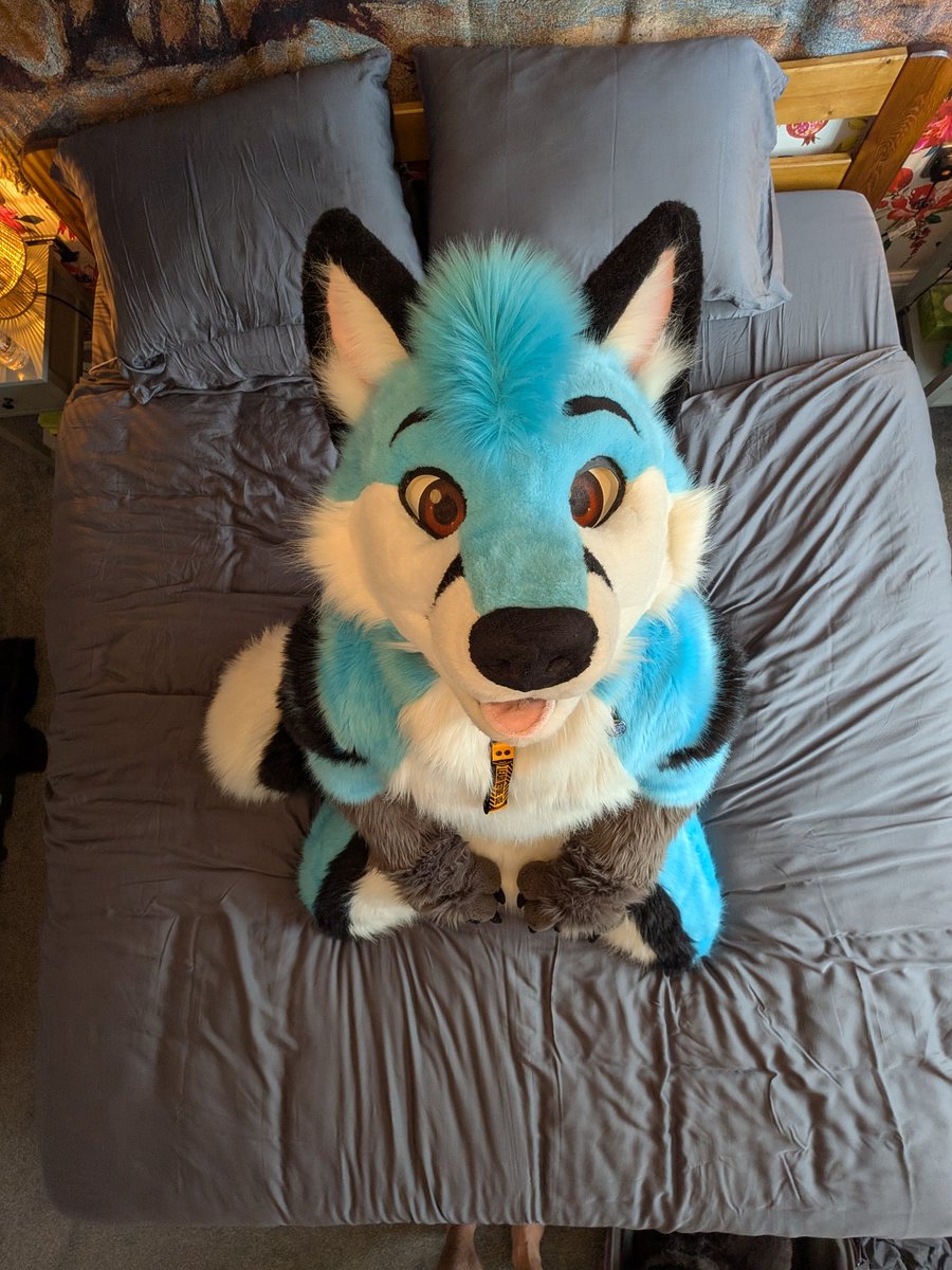 I'm told this is the good boy position