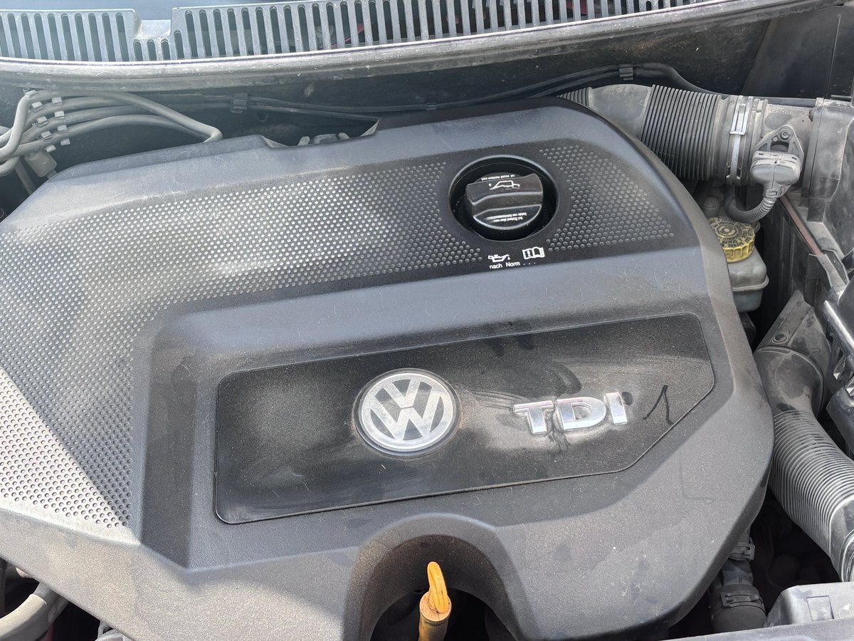 Alex Adalid tweet media