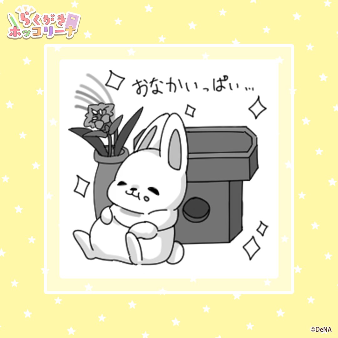 農園ホッコリーナ【公式】 (@nouen_hokkorina) / X