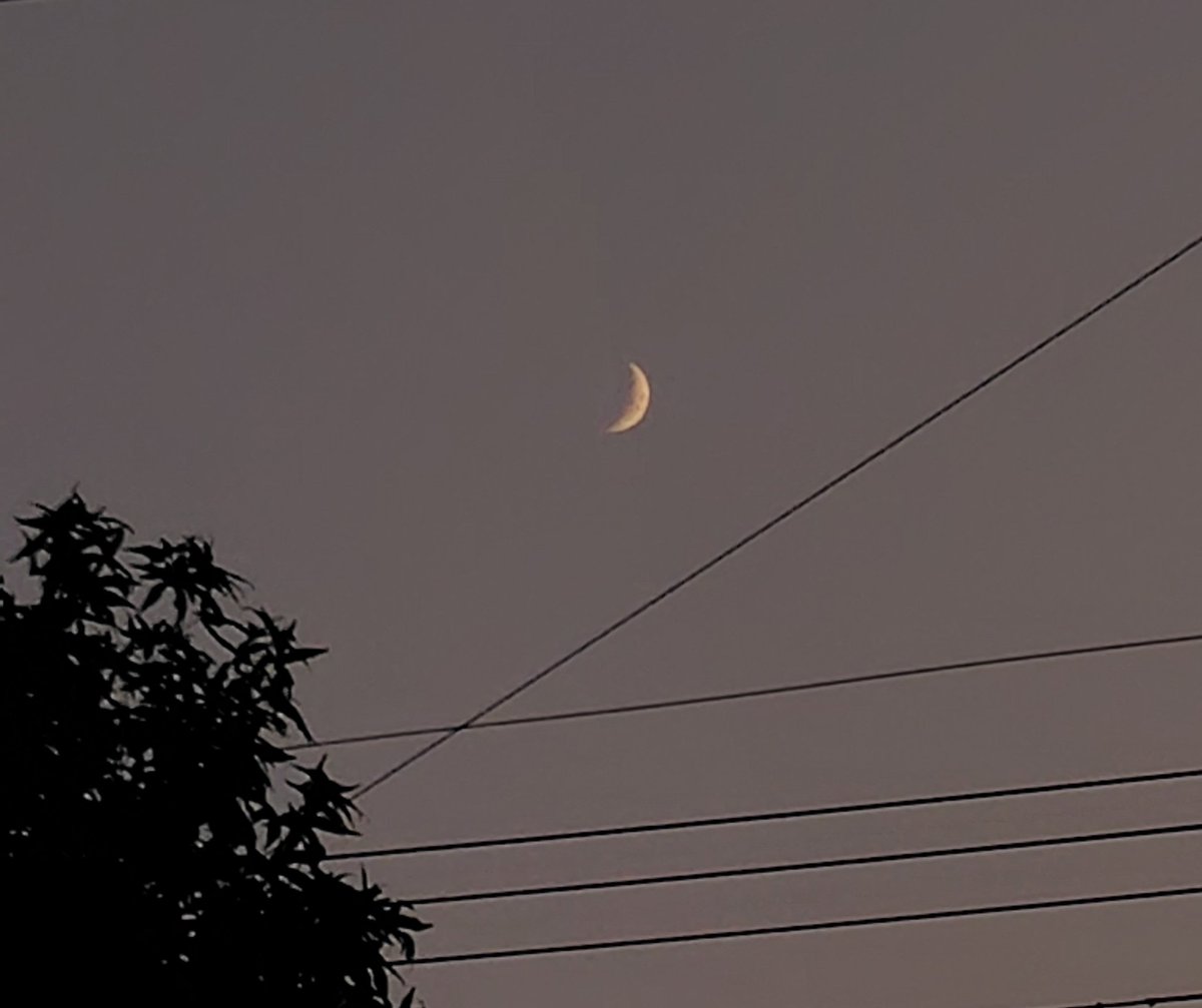 夕月 – търсене / X