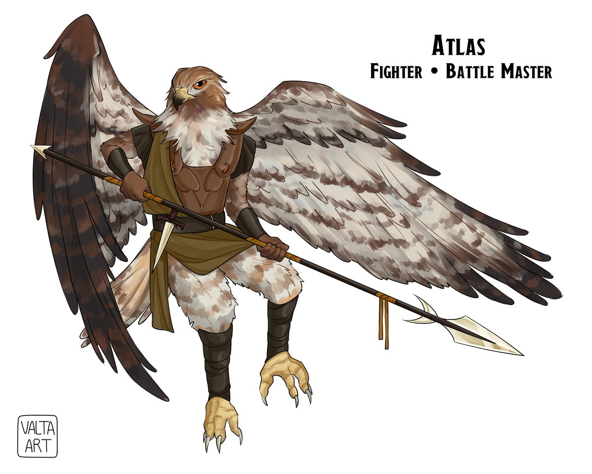 My boy!!!!!!!!!!! Señor pájaro señor pájaro 🐦