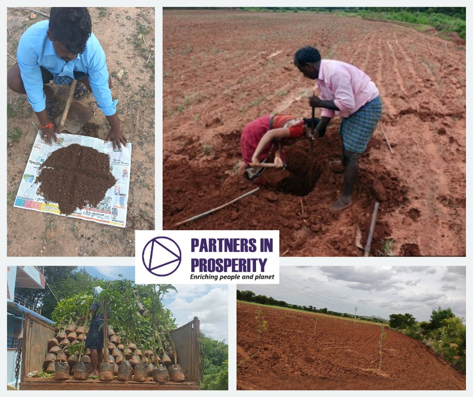 Together, we are not just planting trees—we are planting a future. If you want to grow a tree for a decade, test the soil today. The strength above ground always begins beneath it.
#ClimateAction #FarmersFirst #Agroforestry #GreenFuture <a href="/info_pnp/">Partners in Prosperity</a> NareshChaudhary GauravKaushik