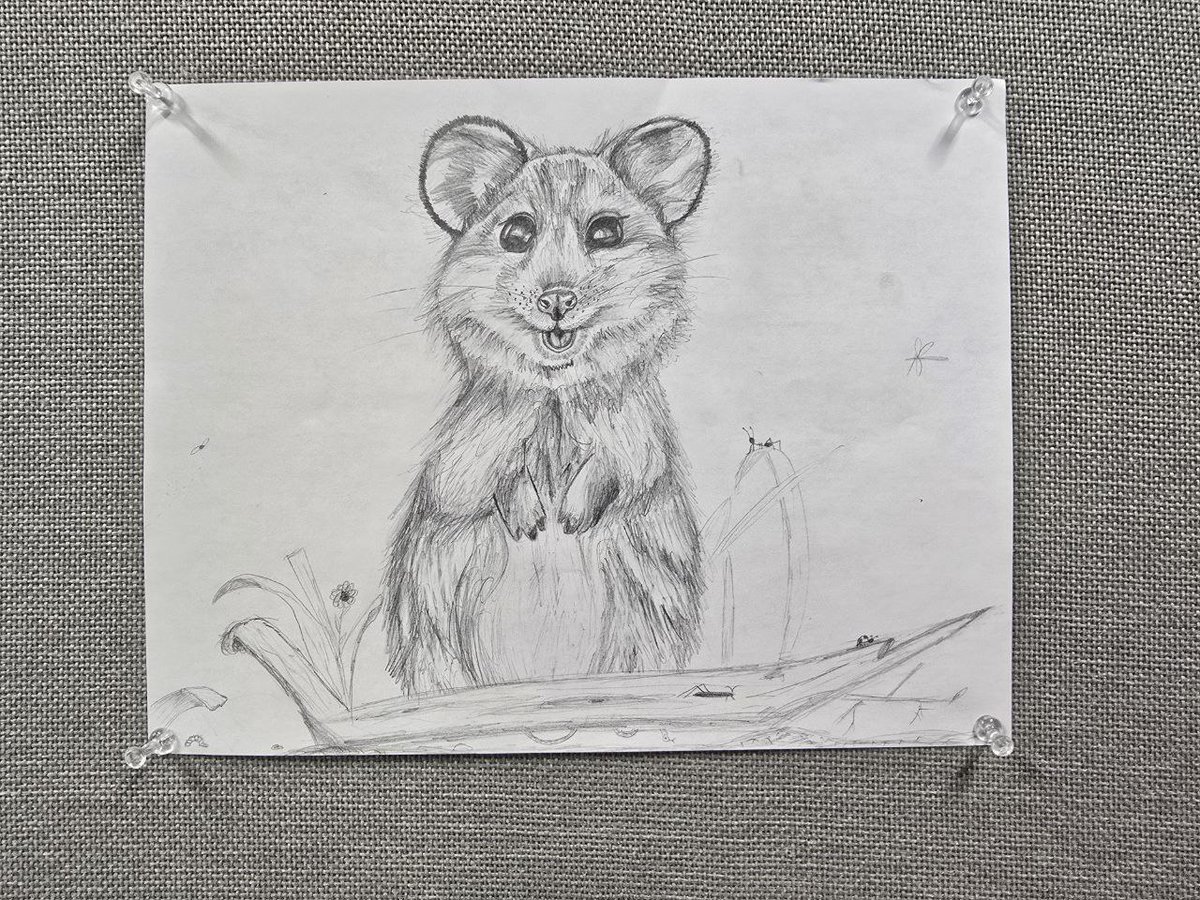 Quokka On Base (@quokkacoinbase) on Twitter photo Some amazing $QUOKKA art commissioned by <a href="/MOFO_with_FOMO/">ConnectiKitten</a>... who may or may not have said she will get this tattooed on her back at 100 Mill MC.
Shoutout to the artist: <a href="/saulgoodman6308/">Bellamolina</a>
Absolutely love this! Some amazing $QUOKKA art commissioned by <a href="/MOFO_with_FOMO/">ConnectiKitten</a>... who may or may not have said she will get this tattooed on her back at 100 Mill MC.
Shoutout to the artist: <a href="/saulgoodman6308/">Bellamolina</a>
Absolutely love this!
