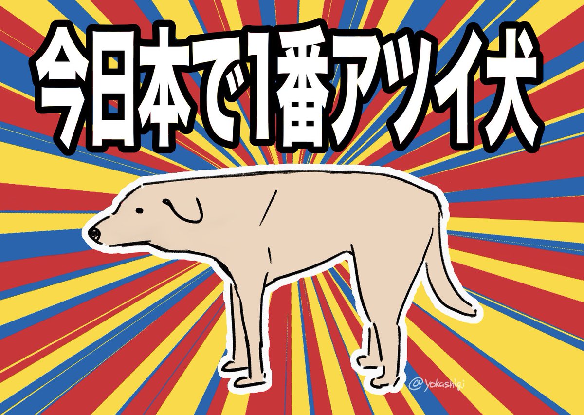 犬、犬の肖像 犬の絵・犬の肖像画の注文制作工房 アトリエChico