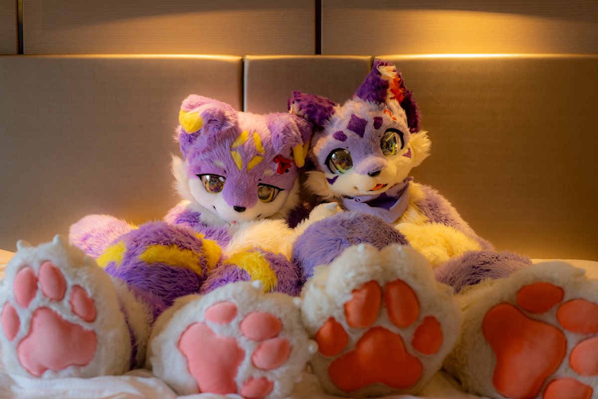 #FursuitFriday 
在这片刻的安宁里，爱与陪伴变得触手可及。

🍇🐶：<a href="/Zelim_00/">梓鳞Zelim</a> 
📷：<a href="/xngln5305779667/">星麟</a>