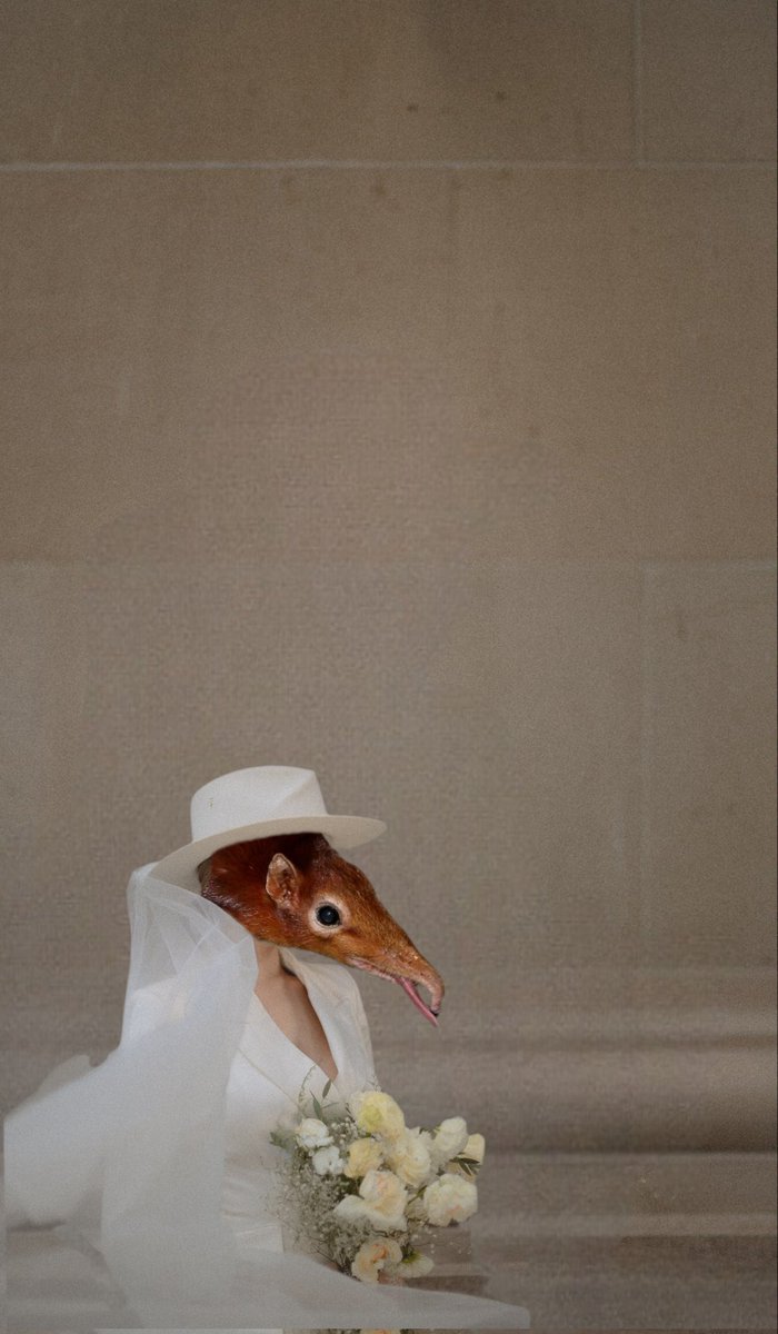 <a href="/degentalks/">Liv ⭒</a> Gm Liv 🤍