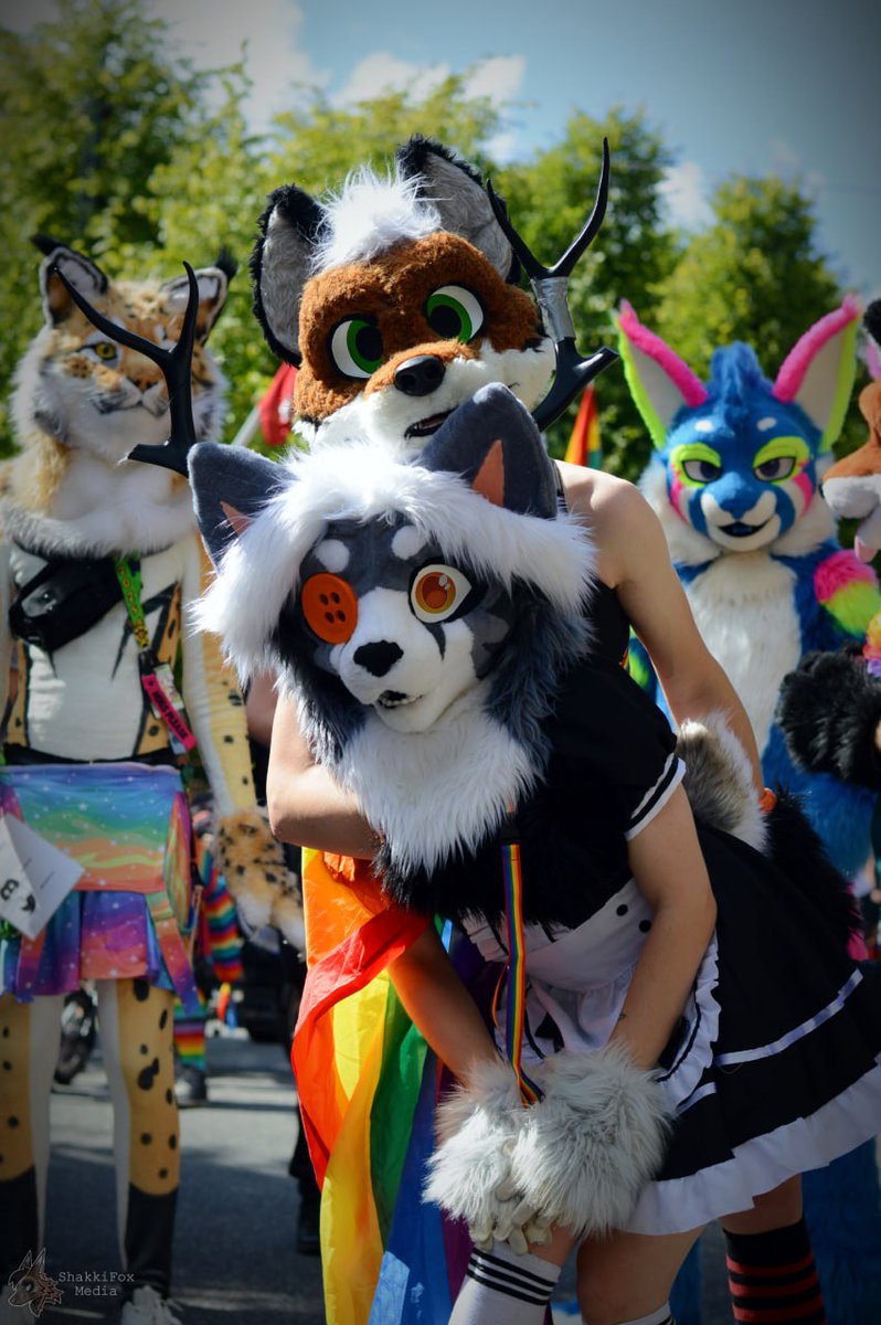 How the class looks at you when you pull out a pack of gum!

Feat. <a href="/SproxxyHusky/">🏳️‍🌈🇩🇰Sproxxy Husky 🔜 NFC</a> <a href="/ItsZaltany/">Zaltany</a> &amp; Zee!

📸 <a href="/ShakkiFox/">ShakkiFox🇩🇰🇵🇱</a> 

#fursuitfriday #furry #fursuit