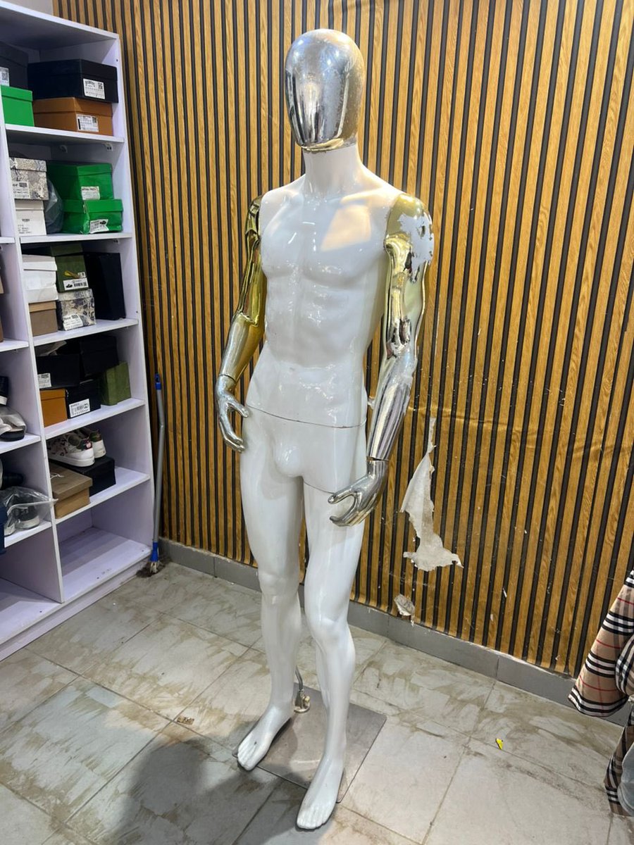 White and gold fibre maniquin 
Ilorin 
150k

White plastic maniquin 
Ilorin 
120k

Ilorin
