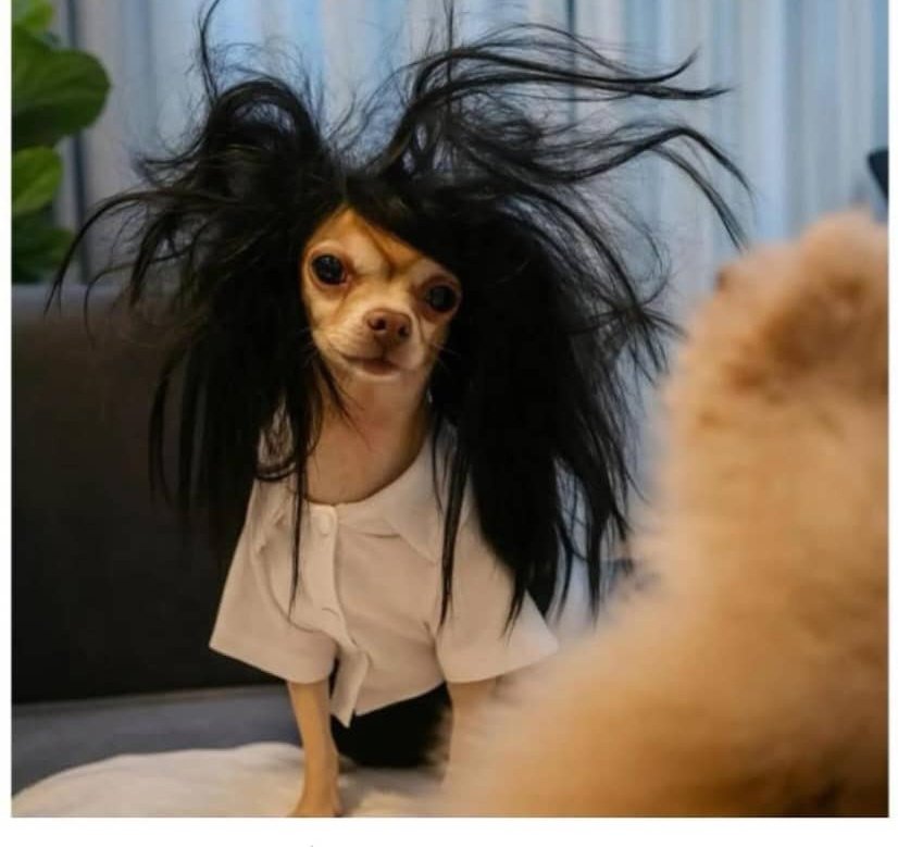 Crypto must secure my retirement...  
No plan B
No what ifs 
No two ways about it 
✨✨