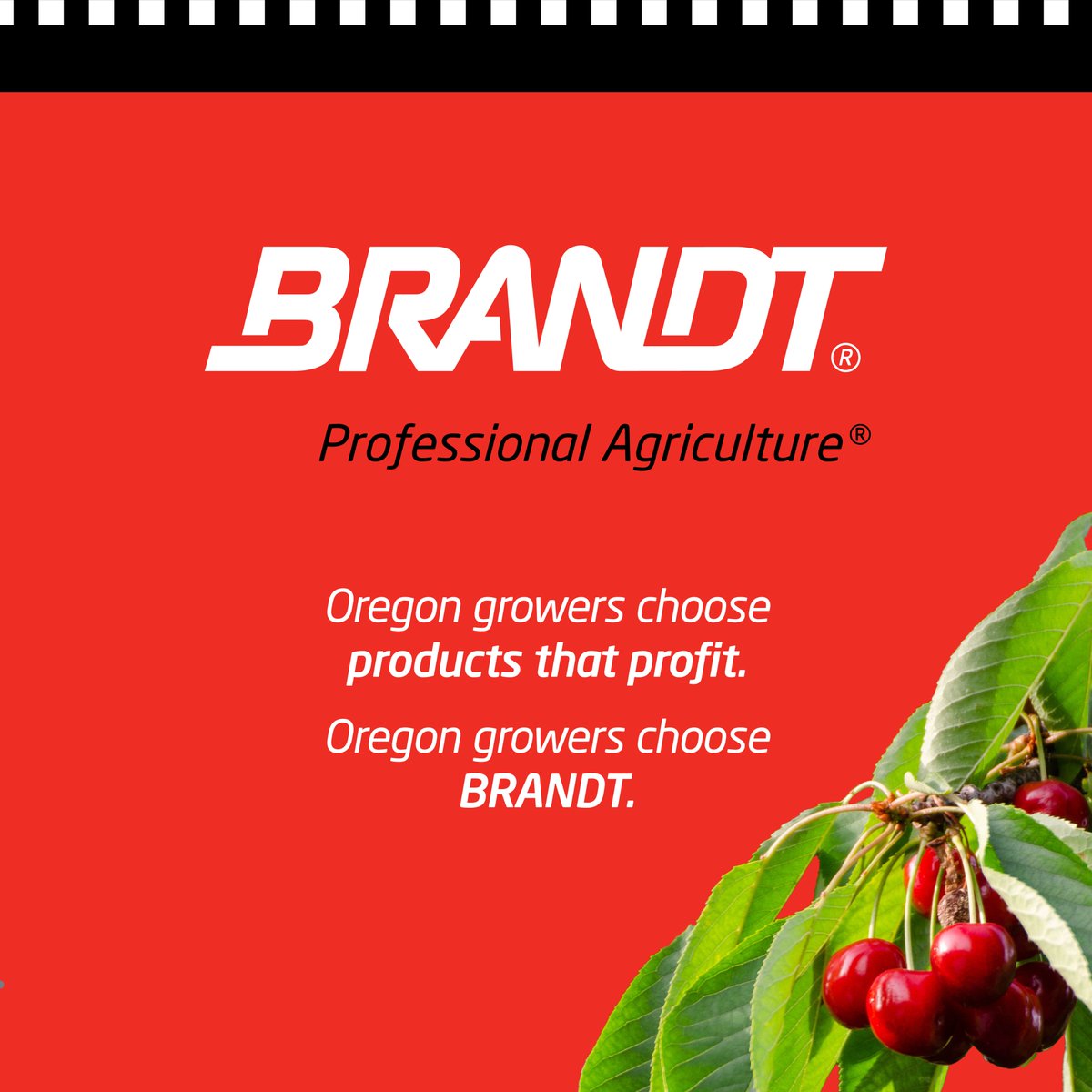 Corn, citrus, cotton, soybean, peppers, agave, peanuts, grapes, and… cherries.

Justin Allgaier heads to Portland International Raceway this weekend in the No. 7 BRANDT Chevrolet. We’re featuring BRANDT EnzUp Zn – an enzyme technology solution designed to support stronger root