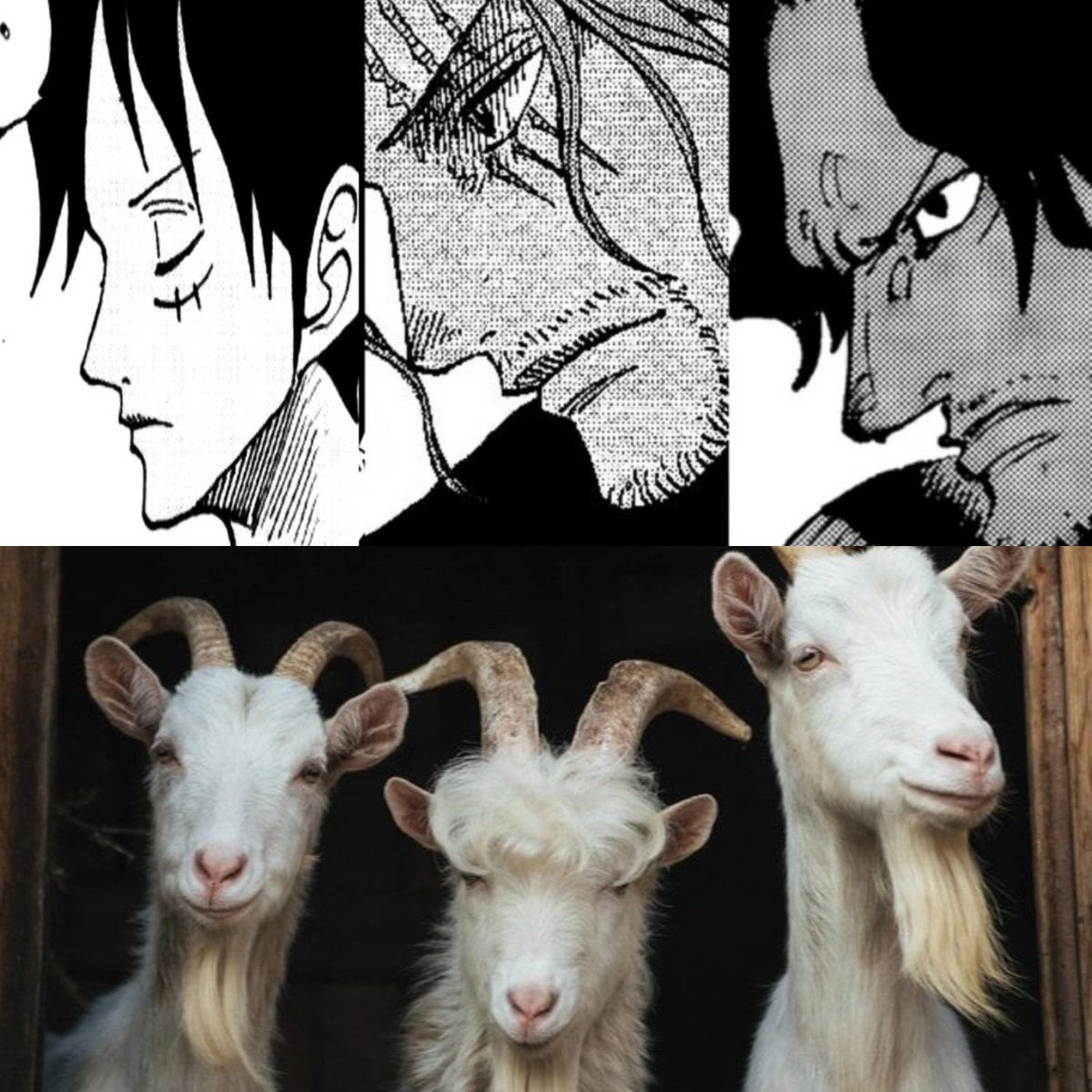 #ONEPIECE1158

Strawhat holders 🔥🔥