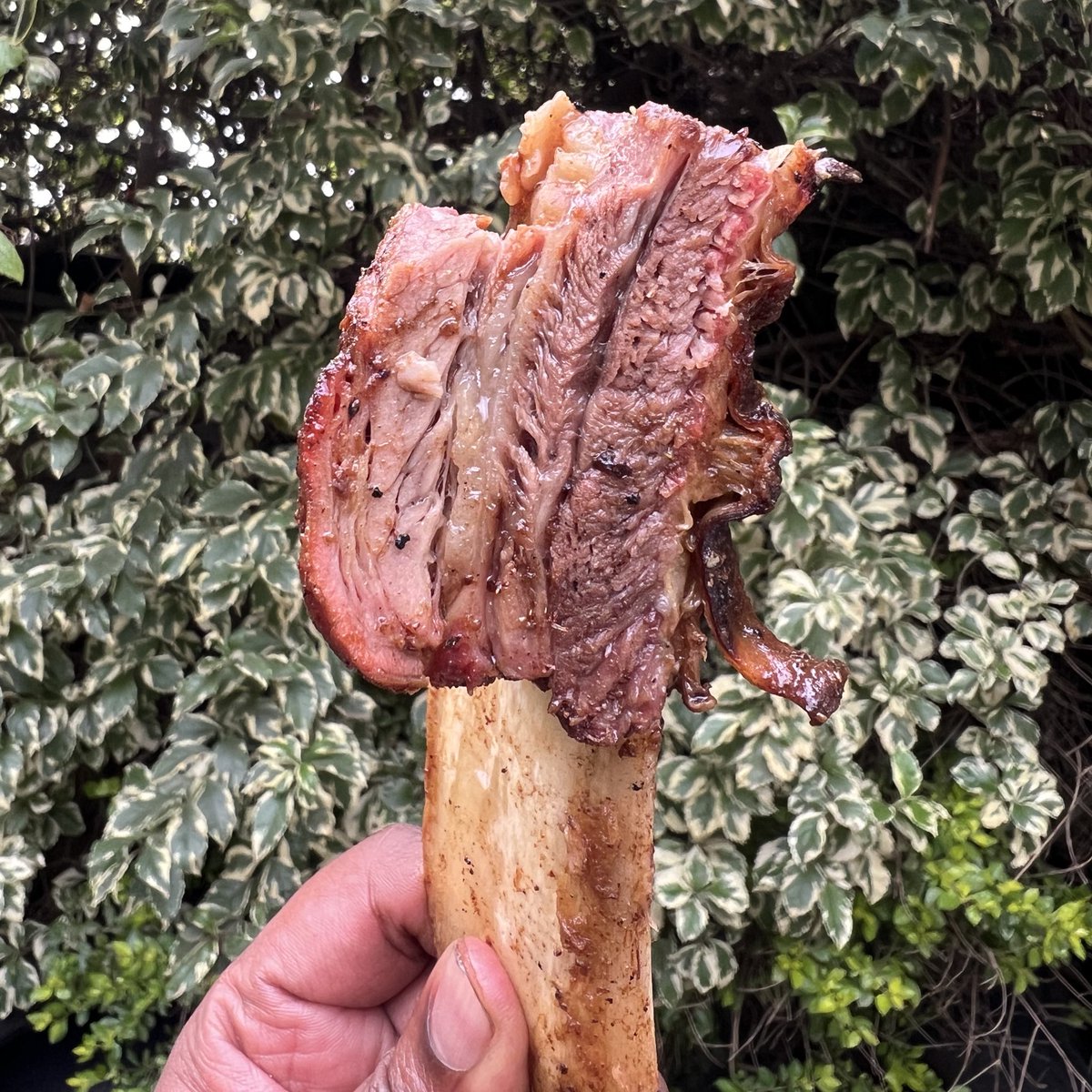 smusyoka's tweet photo. Hey @MwambaRFC, I’d like to bring the Syoks BBQ experience at #Kabeberi7s. Some good smoke, banter, rugby and cold beers. My rugby community has been instrumental in this BBQ journey… they deserve some good experience!

@PeterLugano @ombachi13 you’re not invited. https://t.co/jYC2Ekg6O0