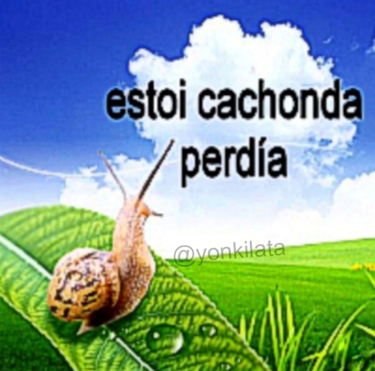 🎀Marianumeritos🎀 (@mariatf17) on Twitter photo 