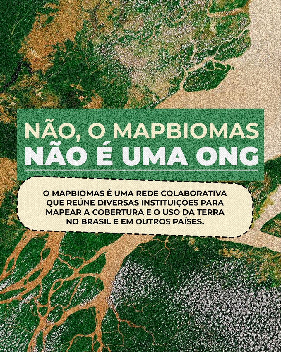 MapBiomas tweet media