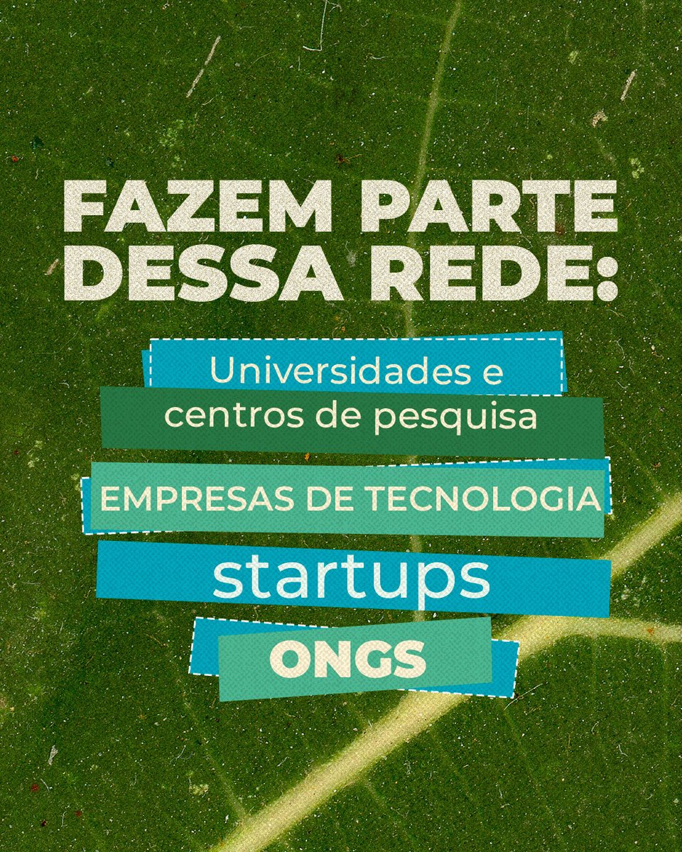 MapBiomas tweet media