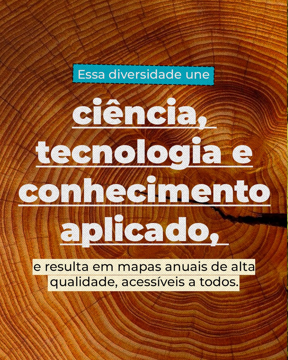 MapBiomas tweet media