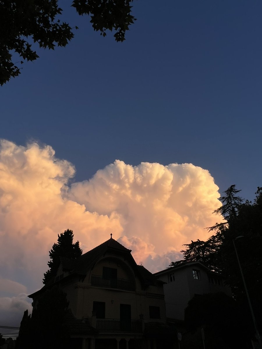 me gusta pensar que hay señales en cosas banales 🦋