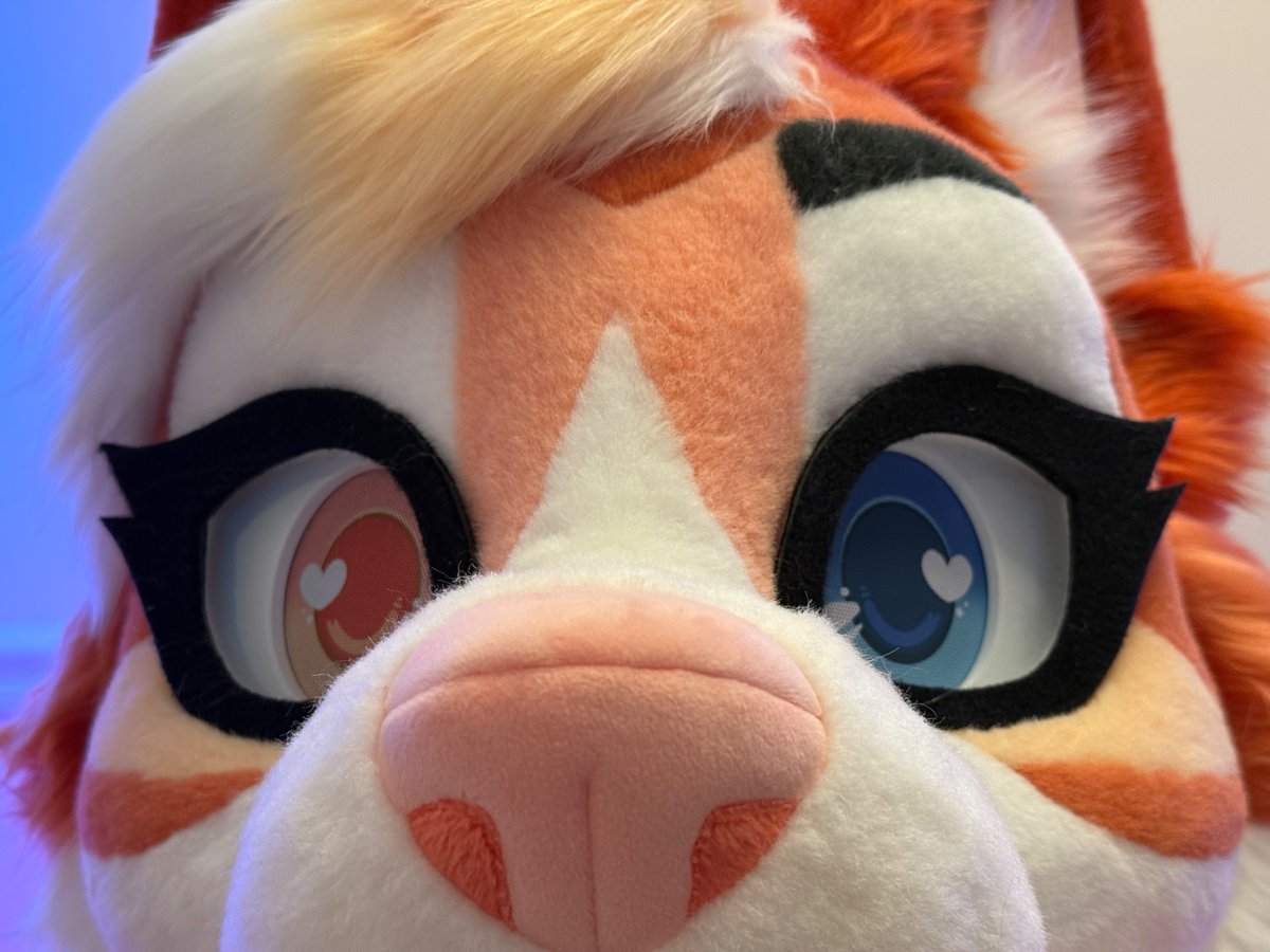 Would you boop this snoot for #FursuitFriday?
