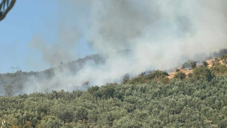 İznik’te tarihi bölgede korkutan orman yangını

linehaber.com.tr/iznikte-ormanl…