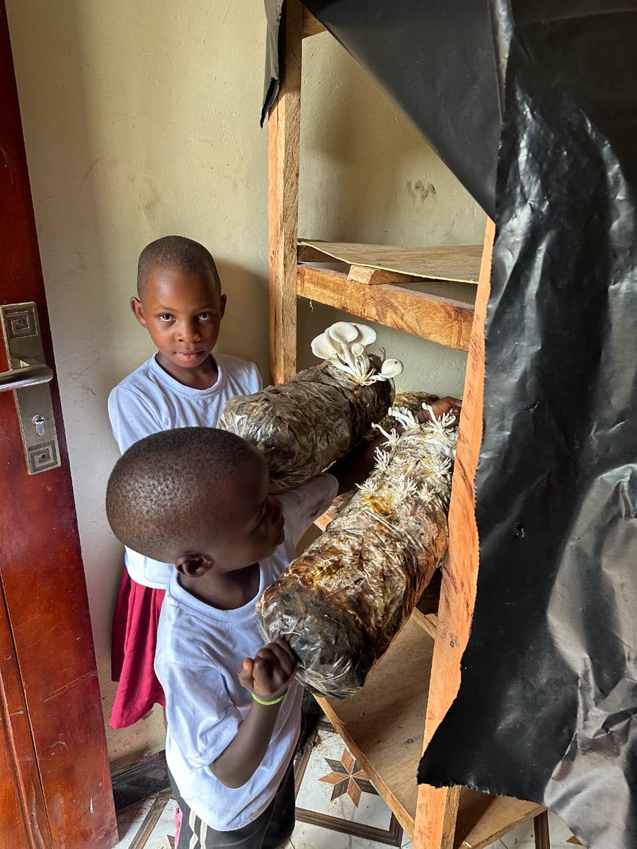 SLAC Uganda tweet media