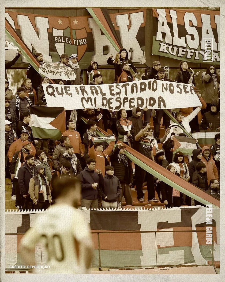 Dias após a briga entre La U e Independiente, os torcedores do Palestino, do Chile, levaram para o jogo contra o Colo Colo uma faixa com uma mensagem forte: “Que ir ao estádio não seja a minha despedida”.

Conhecida por seu posicionamento político nas arquibancadas, a torcida do