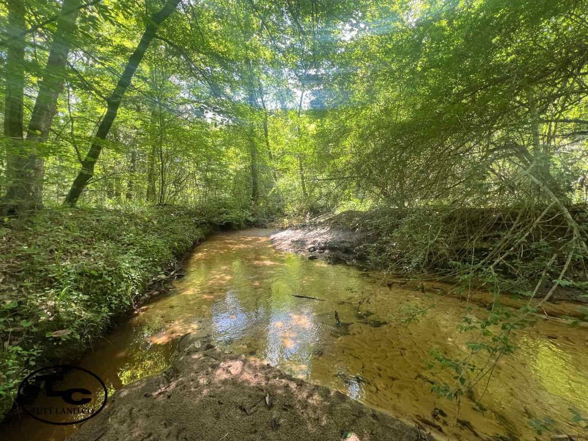tutt_land's tweet image. 57 +/- Ac - Dale County, AL - $219,450
Dylan Dalrymple 334-464-2508
Located 15 miles from Enterprise.
buff.ly/t6x8PX5 
#trustedlandprofessionals #tuttlandco #dalecounty #landforsale #forsaleinalabama