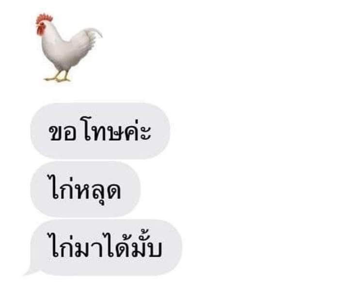 suchaญ​♡ (@7chill4eva) on Twitter photo 