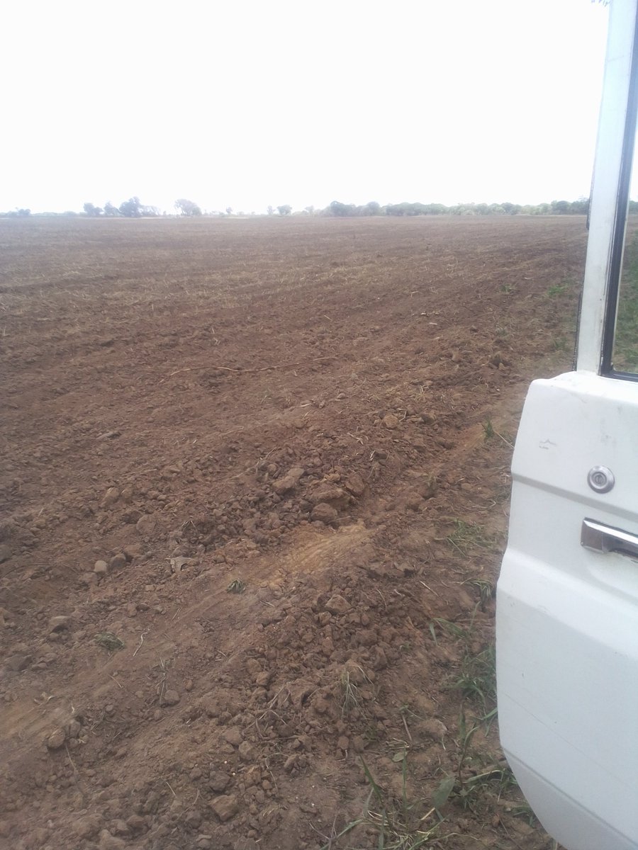 _maxwellmwamba's tweet image. Just here looking at things from my view point simple 👨🏽‍💻