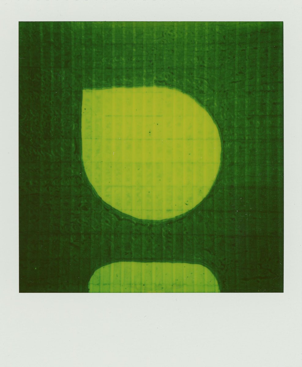 TEMPEPORARY 
A long experiment about <a href="/opepenedition/">◶◶*</a>

Waiting for Phase II, in the meantime...

Phase I  
Edition Size 5 "Contempeporary"
#2

Digital scanned Polaroid, no postproduction applied. 
In the last post, the link to the complete guide 

A thread 🧵