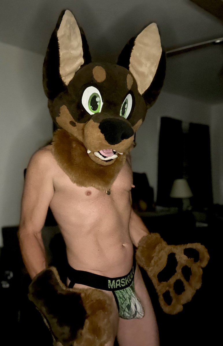 PupJedi (2k) tweet media