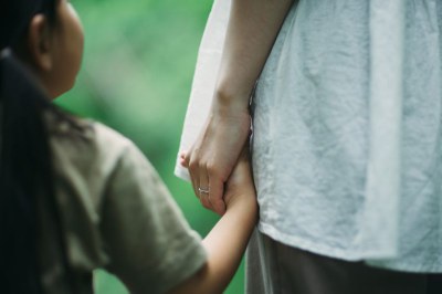 Direitos do Cidadão tweet media