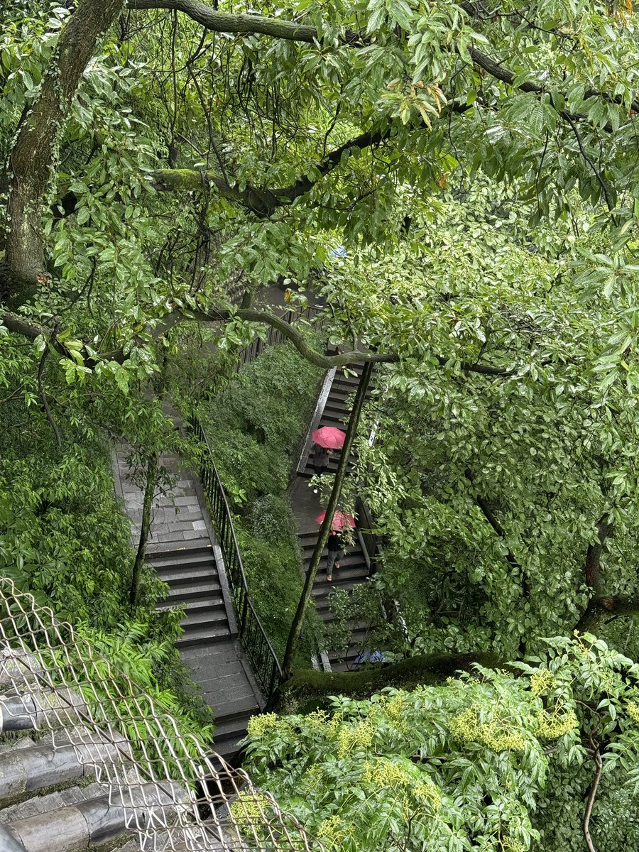 KITSUHI (@kitsuhikun) on Twitter photo 