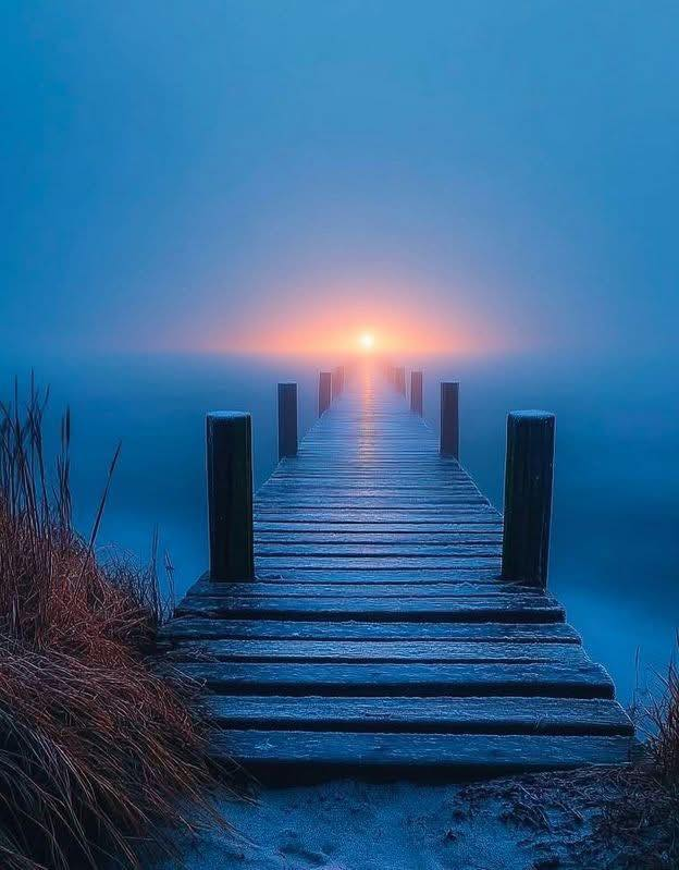 Lexi (@spezialaccount) on Twitter photo 