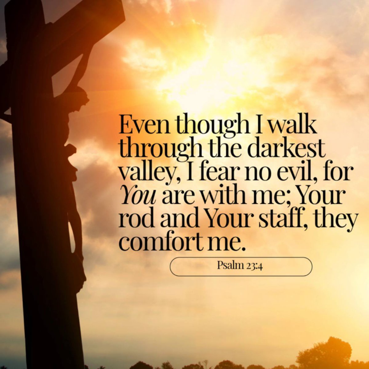 RepMTG's tweet image. They can attack me, lie about me, and try to tear me down. 

But I will not be afraid.  

The Lord is with me, and I’m standing strong for the American people.