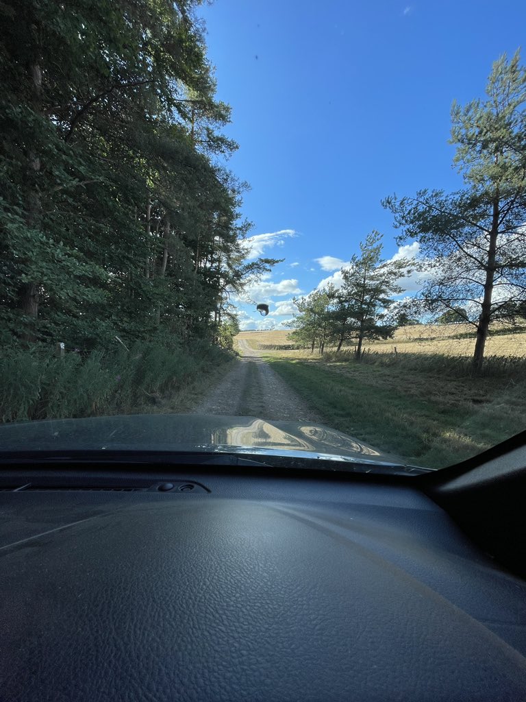 Jake Freestone tweet media