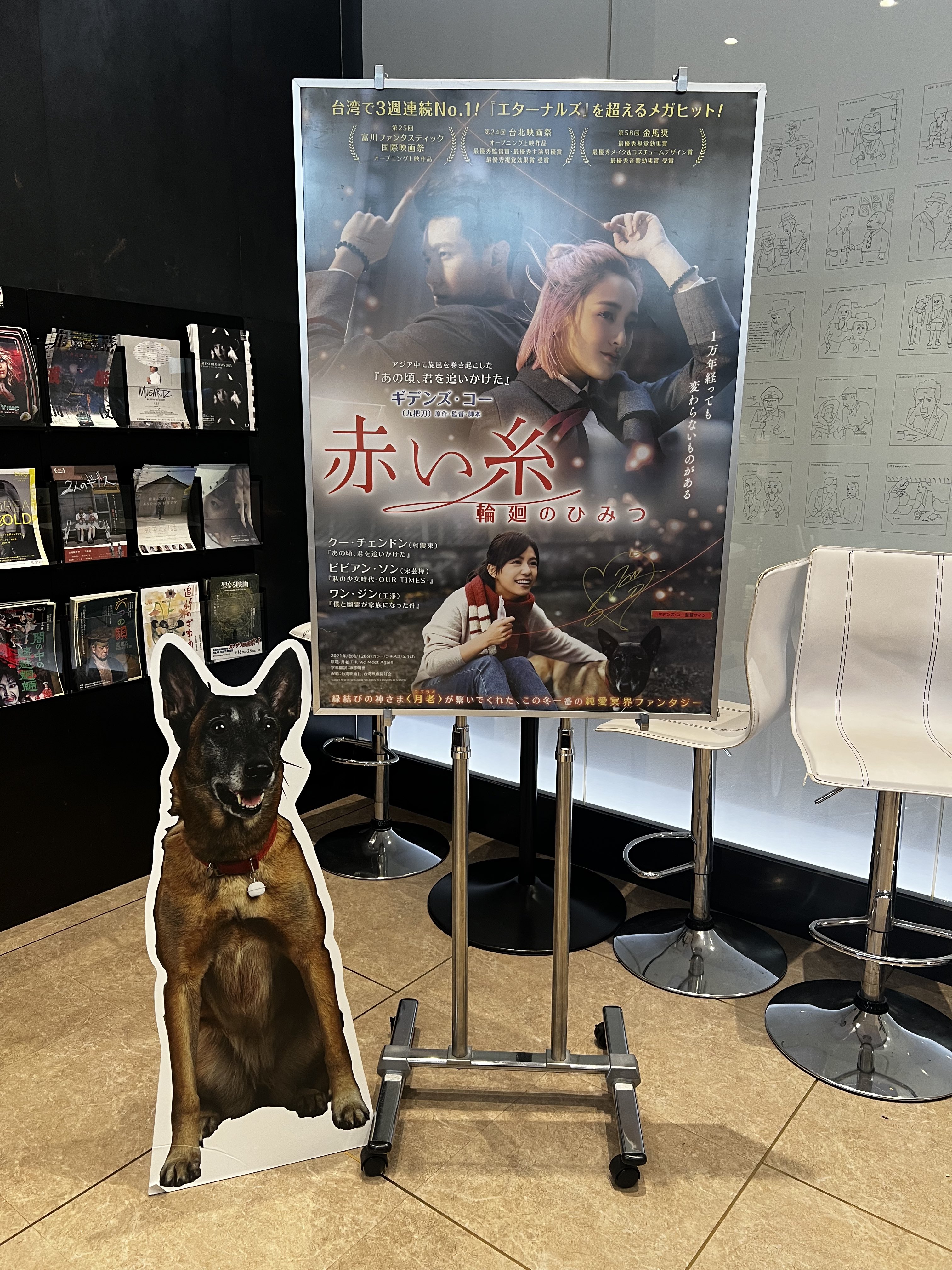 いつか見た映画館　初回限定版.* いつか見た映画館 初回限定版.* HMV&BOOKS（HMV）公式 on X: