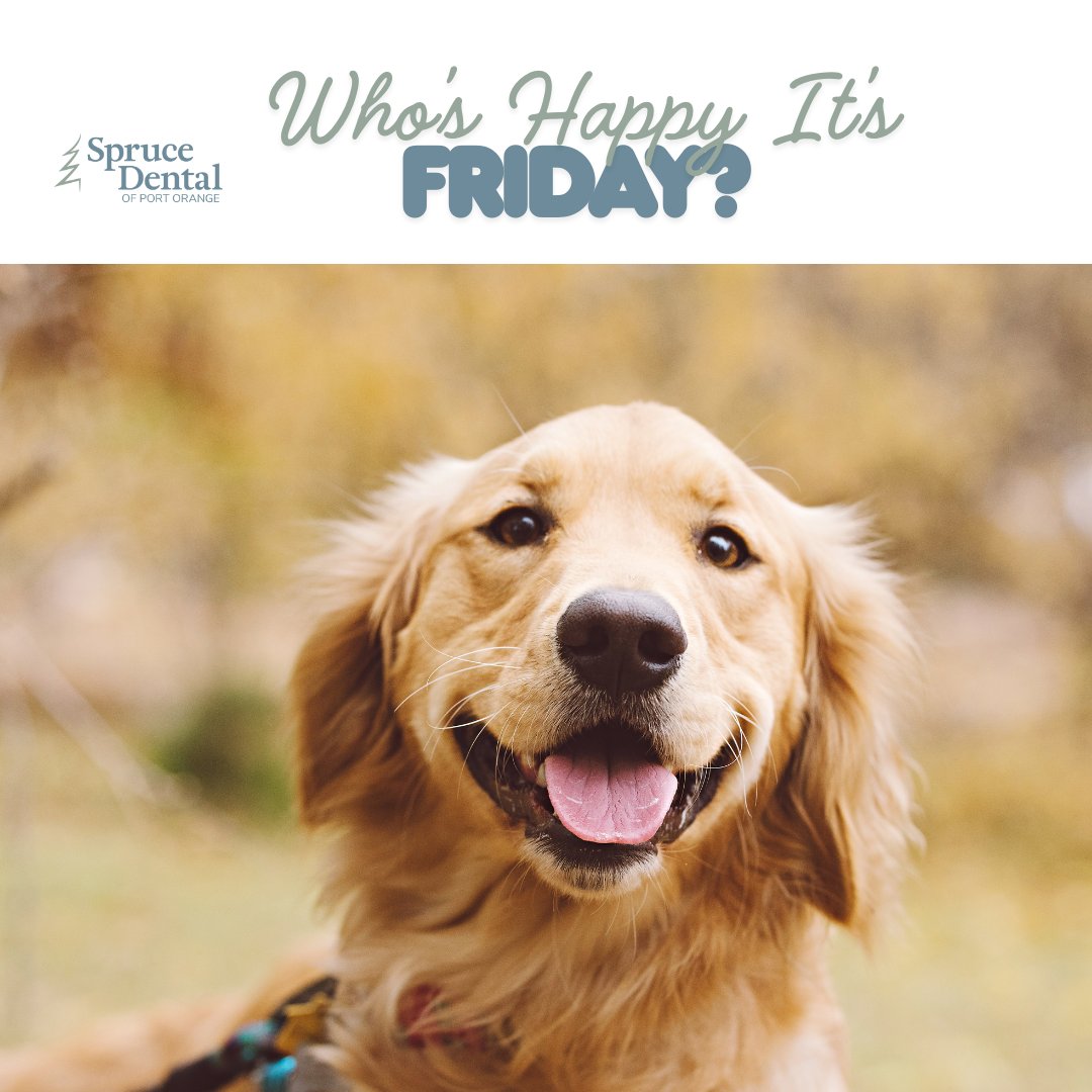 imarketfresh's tweet photo. @SpuceDental 😊🐾 Happy Friday From Spruce Dental! May Your Weekend Be Full Of Bright Smiles, Fresh Vibes, And Reasons To Show Off Those Pearly Whites! 🦷✨ #PortOrange #PortOrangeFL #PortOrangeLocal #HappySmiles #PortOrangeDentist  #Invisalign #TeethWhitening #Sprucey https://t.co/FzVxtop9Ul