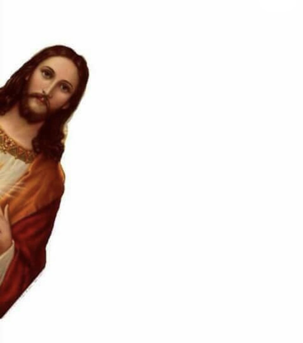 JesusOnchain's tweet photo. Hey it looks bullish out here https://t.co/82iVyf6tuT