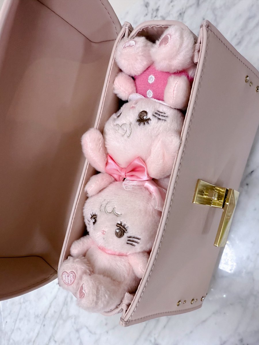 あーちゃん あ～ちゃん、妹ちゃあぽんと