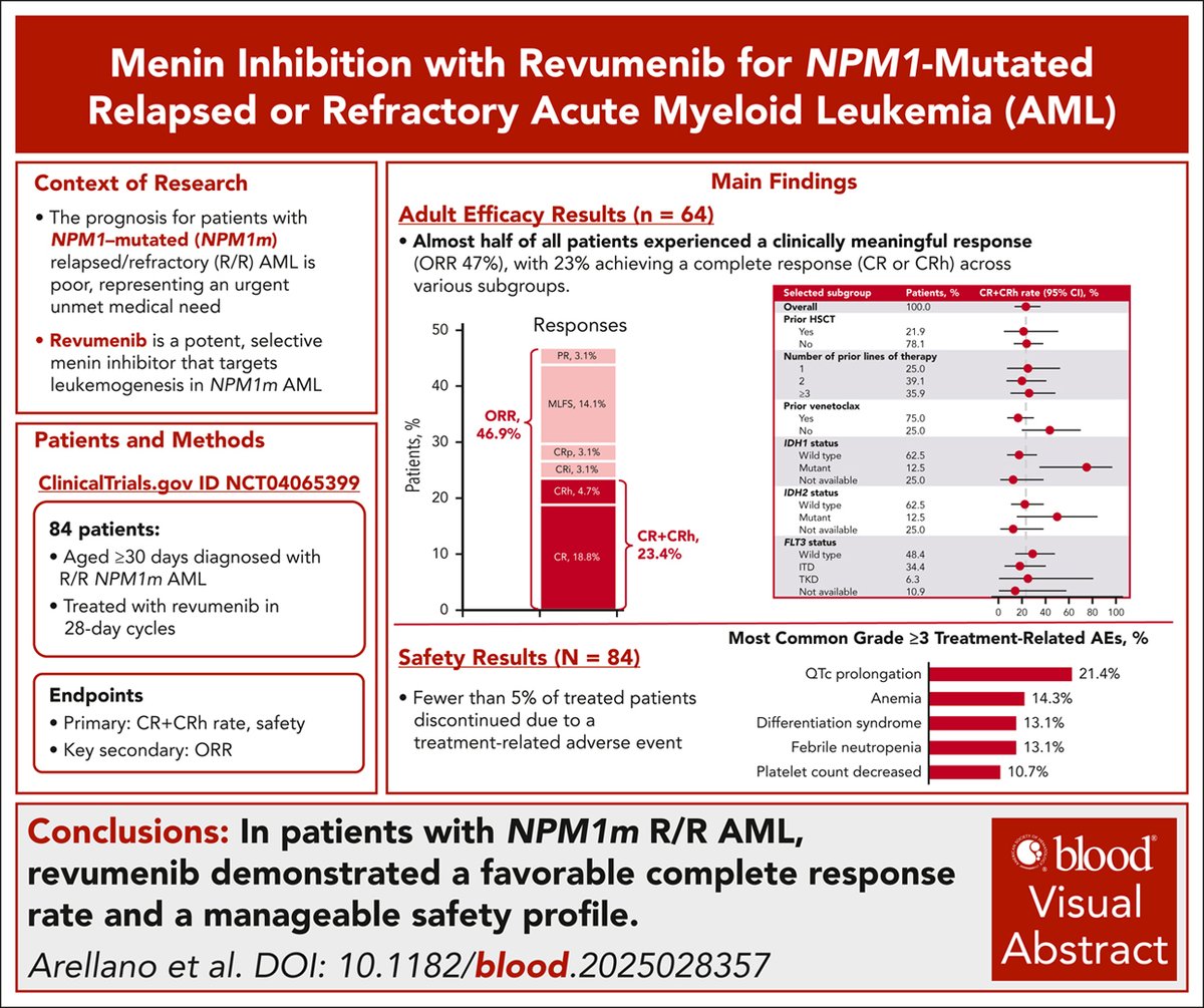 NPM1: the ultimate target in AML >> >>> Menin inhibition with revumenib for NPM1-mutated relapsed or refractory acute myeloid leukemia: the AUGMENT-101 study ashpublications.org/blood/article/…  #AML #leusm