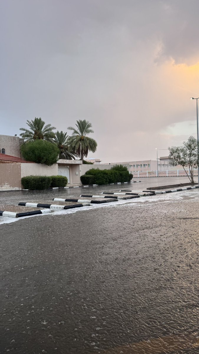 alsalmaany's tweet photo. حائل 29 اغسطس 🌧️ https://t.co/IFtb2f0bhQ