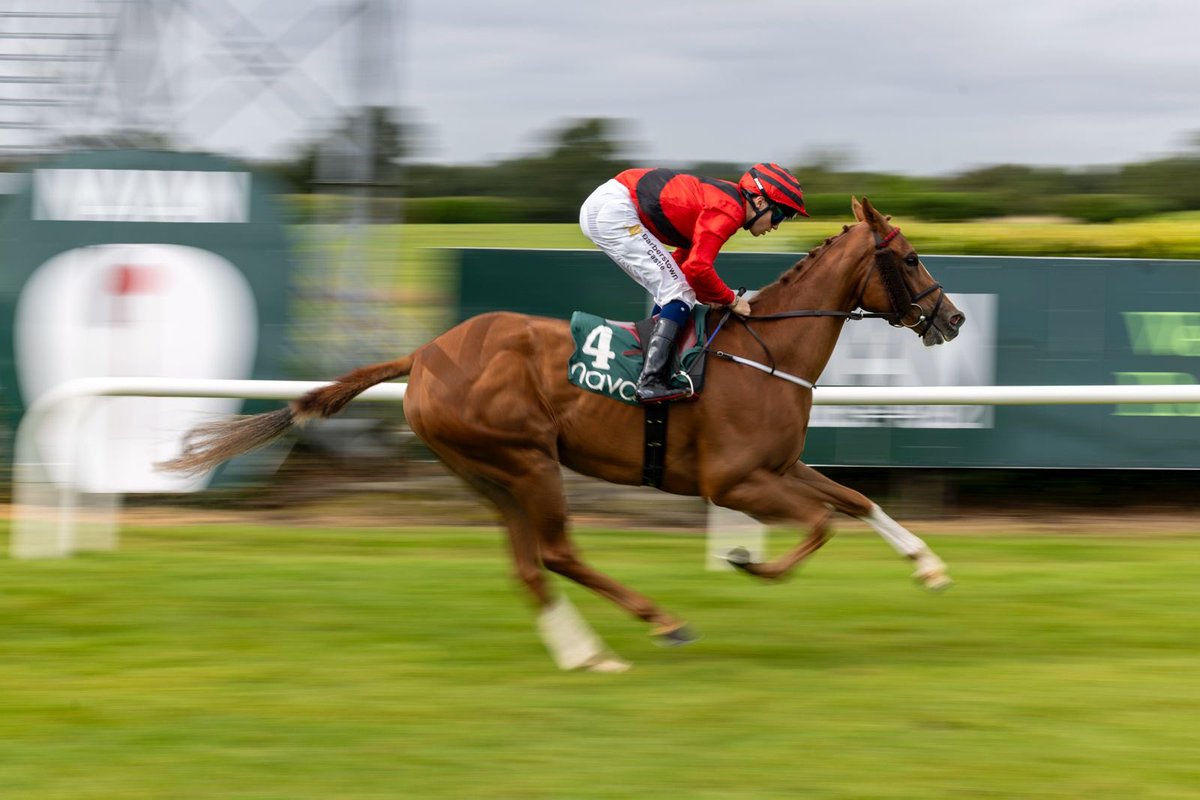 NavanRacecourse's tweet image. The @CurraghTo Curragh Charity Cycle On This Saturday Handicap went the way of Noli Timere for @MDOCallaghan 
&amp;amp; @DylanBrowneMcM👏

The Charity Cycle takes place tomorrow 30th August for a brilliant cause with still plenty of time to sign up!  

curraghtocurragh.ie/sign-up-here/