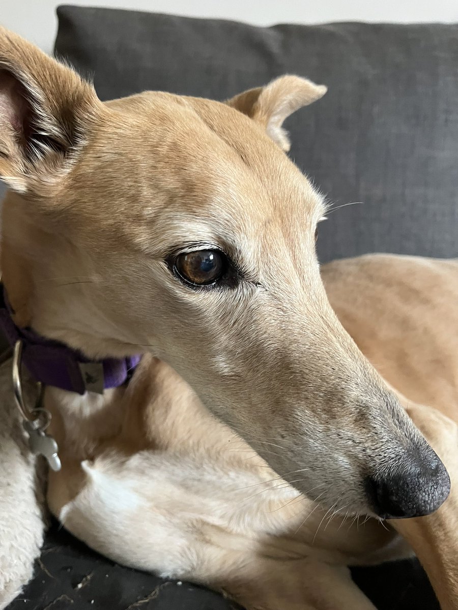 Slinky Pants Fly:

I am today 14 years old!